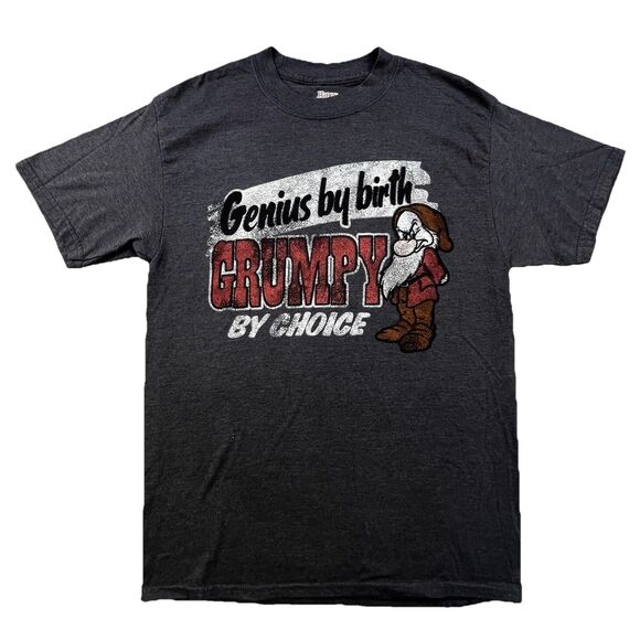 Disney Parks Lot of 2 Grumpy T-Shirts Adult M Gray & Tan Seven Dwarfs - Picture 8 of 13